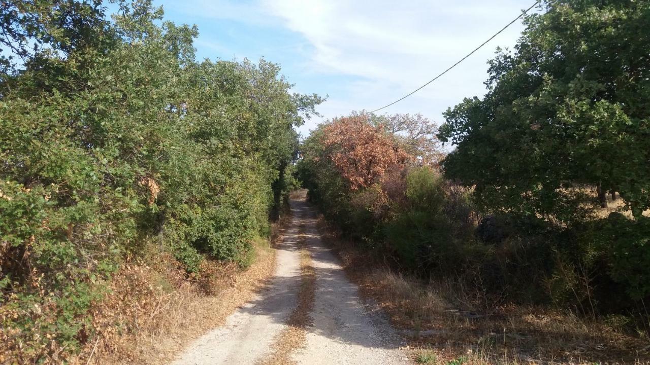 Agriturismo Sa E Padedda Mores Eksteriør billede